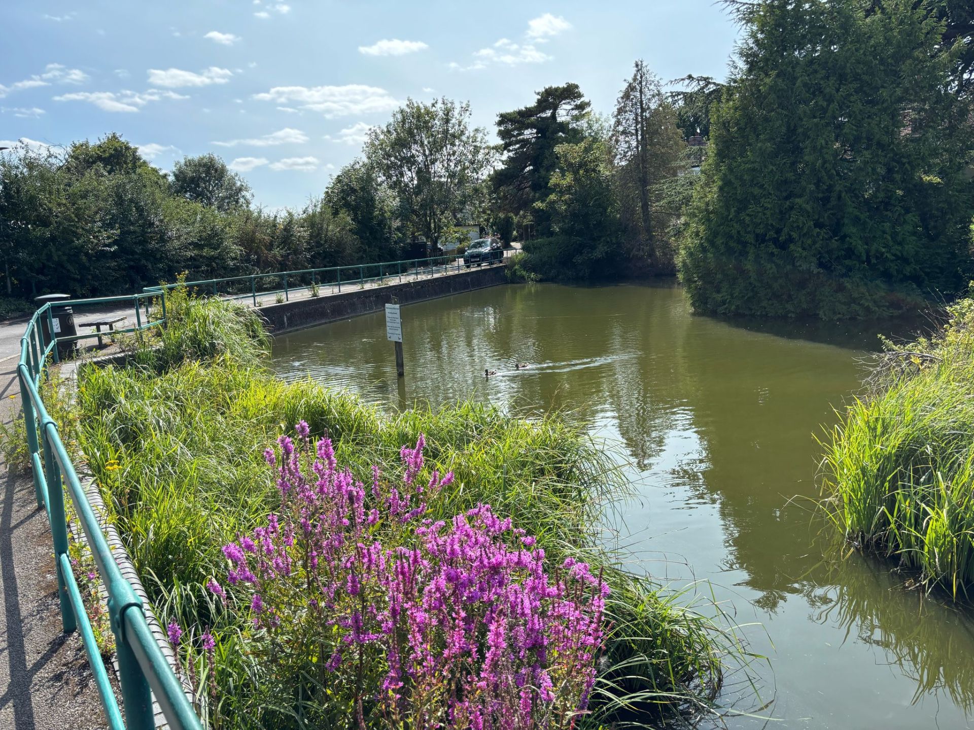 Graveley Pond